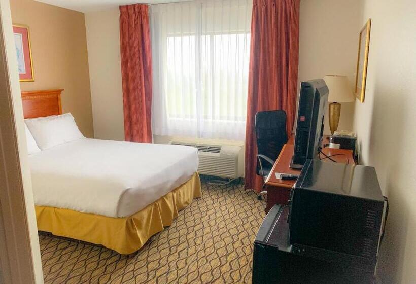 هتل Baymont By Wyndham Chelsea