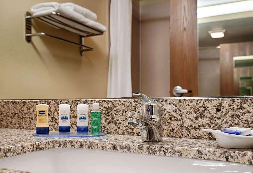 Best Western Plus Executive Hotel & Suites