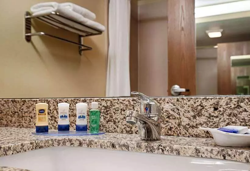 Best Western Plus Executive Hotel & Suites