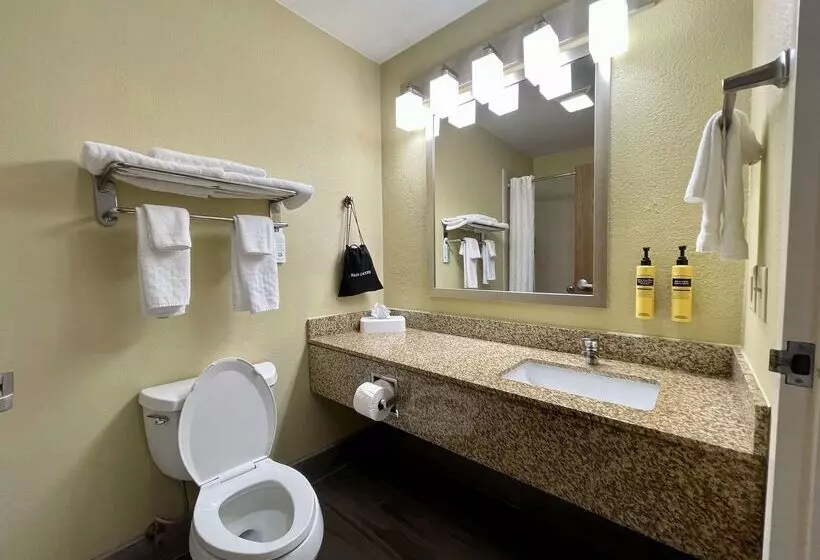 Best Western Plus Executive Hotel & Suites