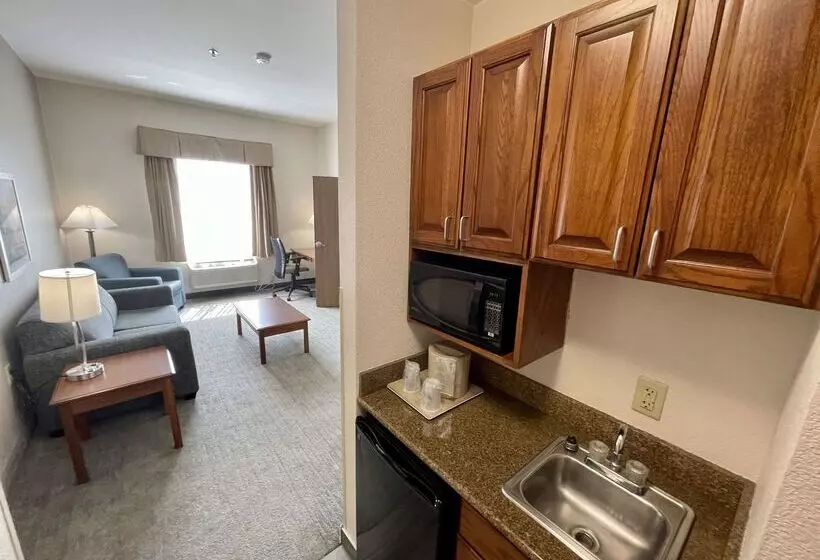 Best Western Plus Executive Hotel & Suites