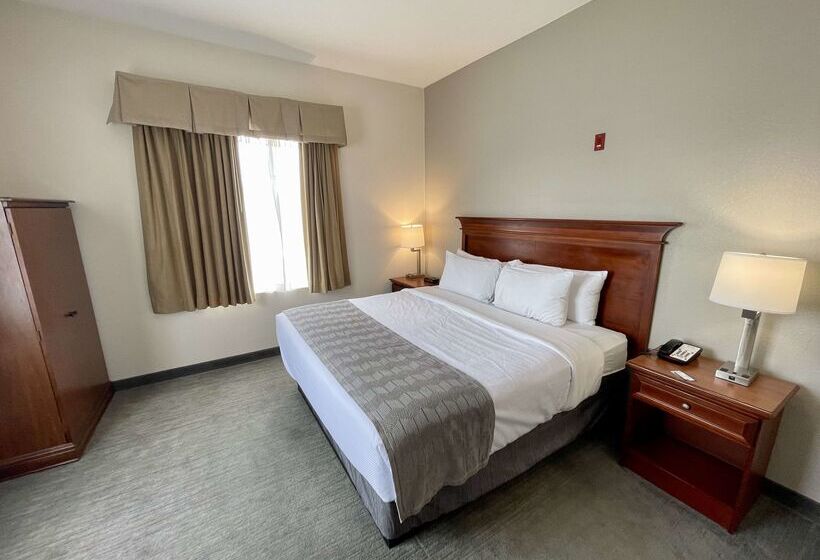 Best Western Plus Executive Hotel & Suites