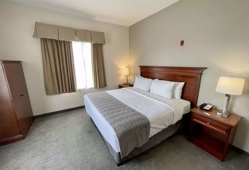 Best Western Plus Executive Hotel & Suites
