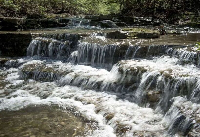 בית מלון כפרי Best Western Plus Kc Speedway Inn & Suites