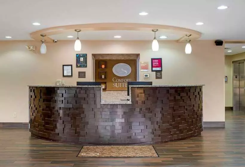 هتل Comfort Suites Fultondale I65 Near I22