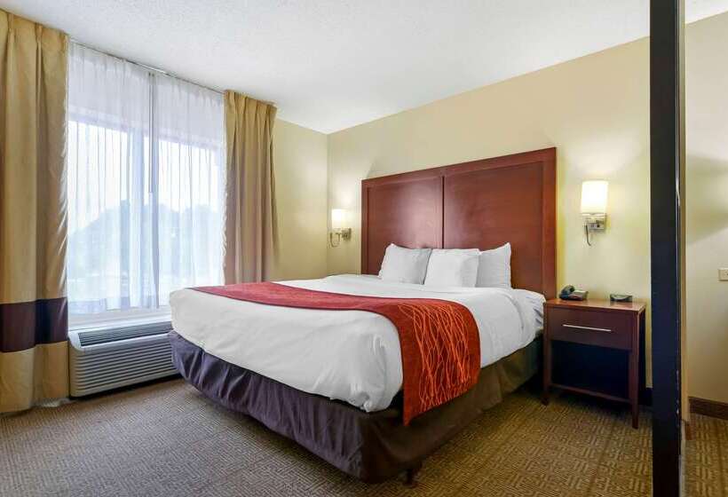 בית מלון כפרי Comfort Suites Fultondale I65 Near I22