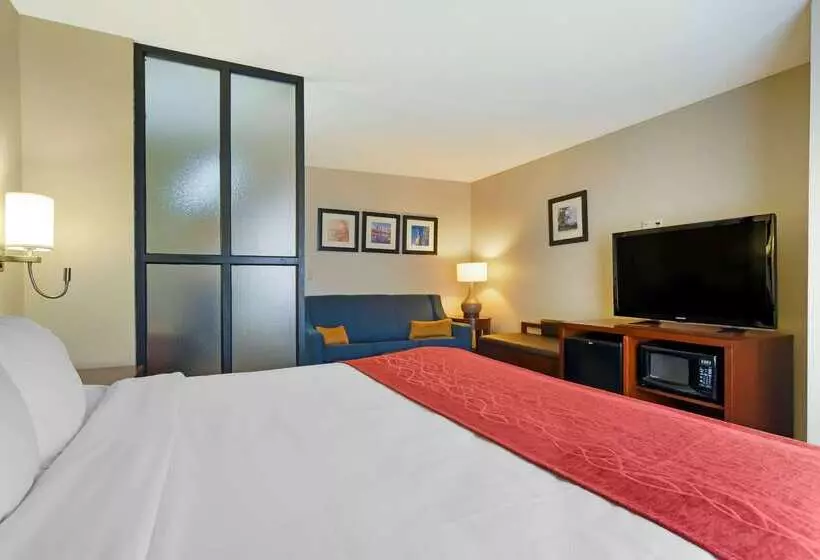 هتل Comfort Suites Fultondale I65 Near I22
