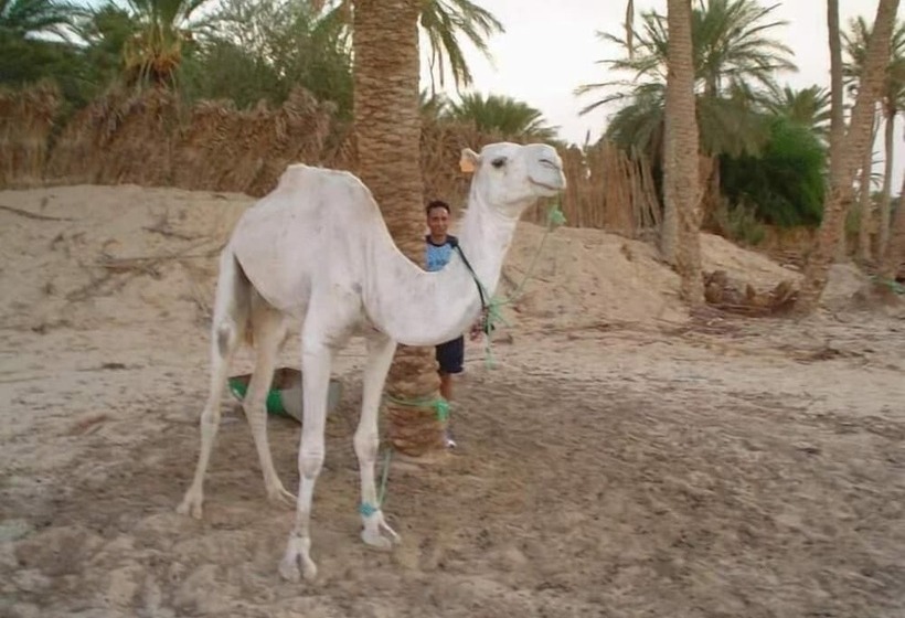 هتل Résidence El Arich