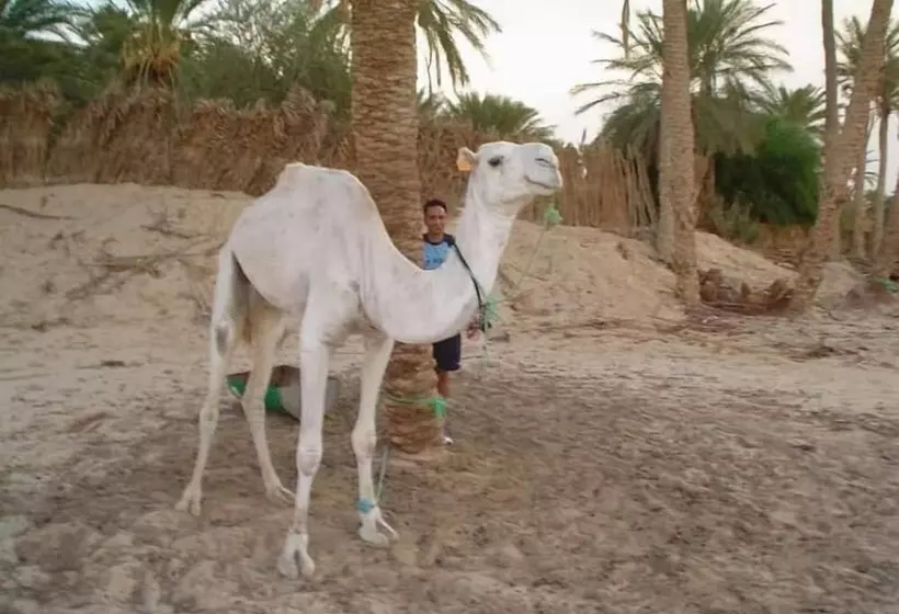 Отель Résidence El Arich