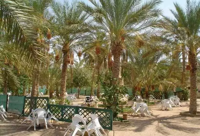 Отель Résidence El Arich