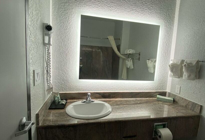 בית מלון כפרי Best Western Texas City I 45