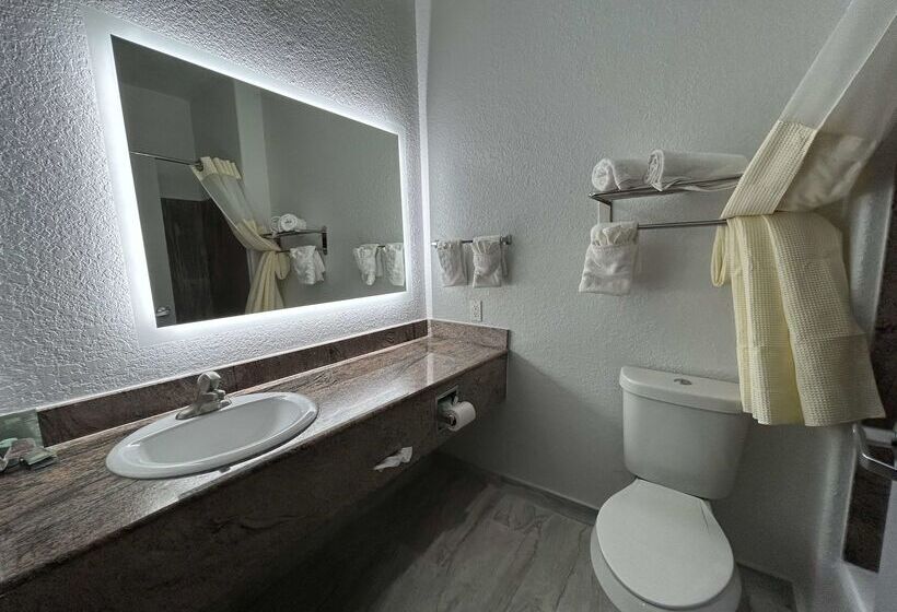 בית מלון כפרי Best Western Texas City I 45