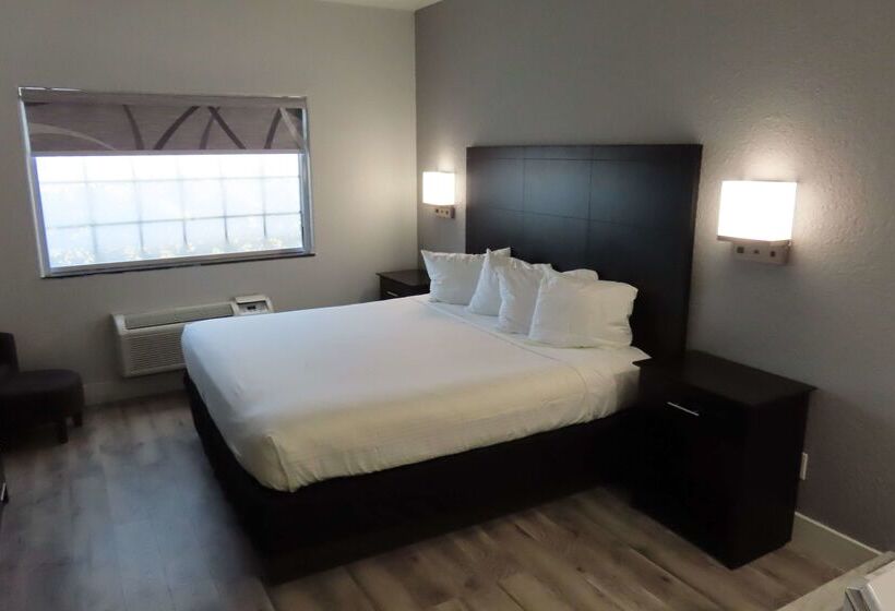 בית מלון כפרי Best Western Texas City I 45