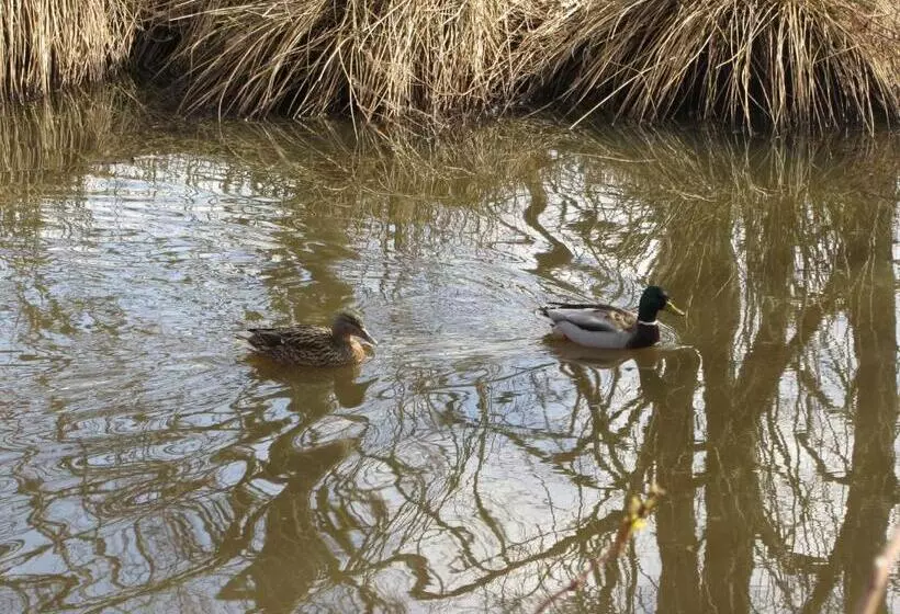 فندق صغير Morag S Lodge