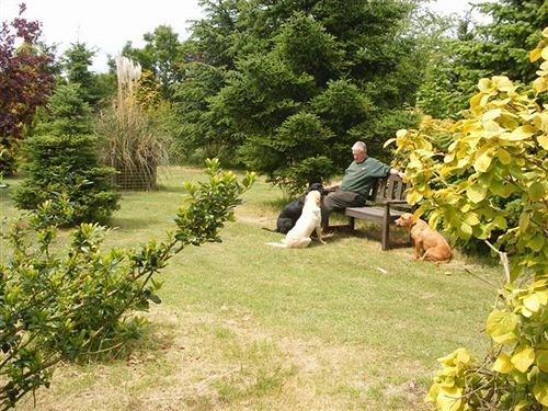 مبيت وإفطار Grimston House