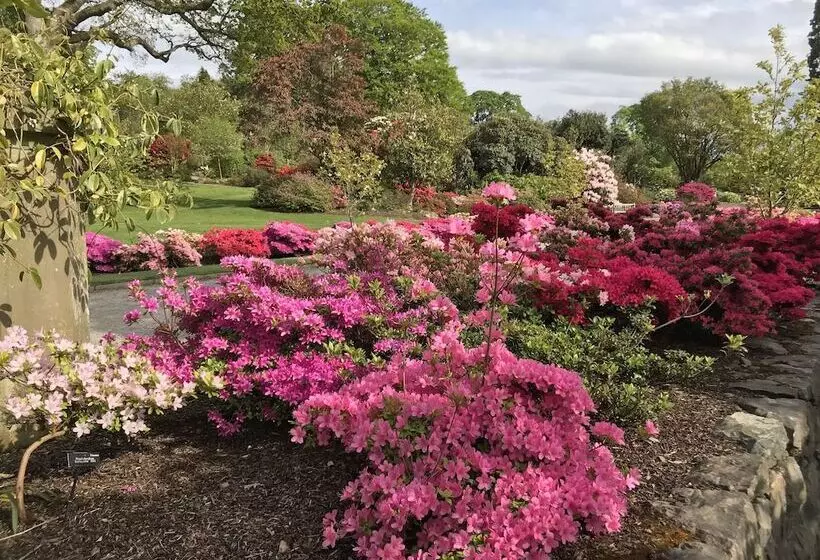 민박 Llandudno Hostel