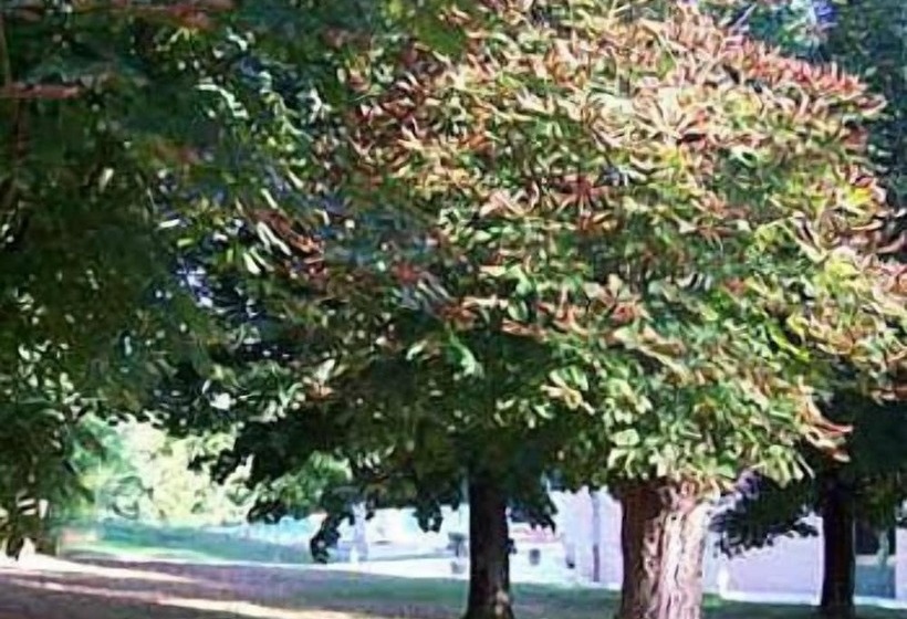 בית מלון כפרי Le Clos Du Prince