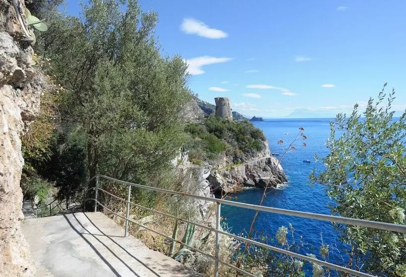 فندق Torre Saracena