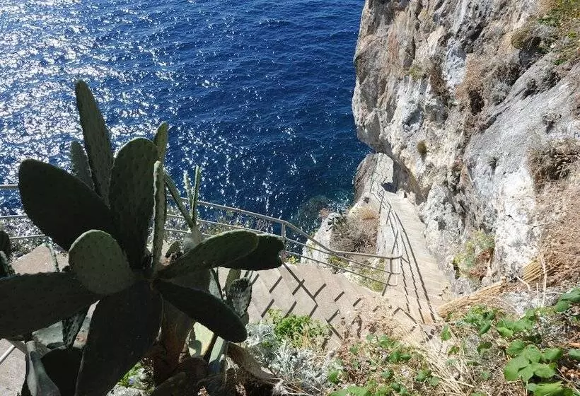 فندق Torre Saracena