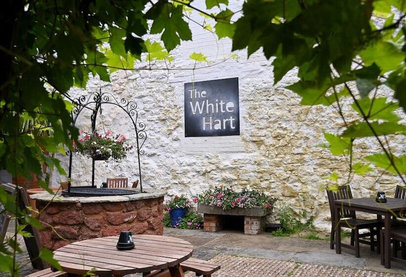 בית מלון כפרי White Hart, Exeter By Marston S Inns