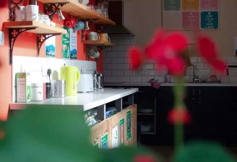 Общежитие William Wallace