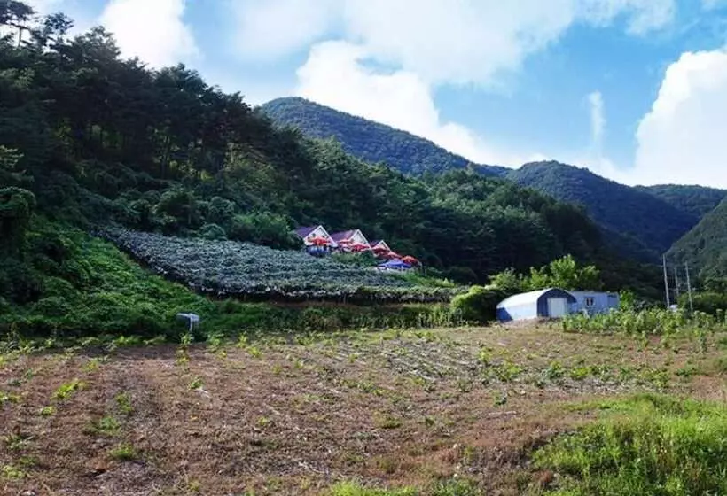 ホテル Yeongwol Donggang Castle Pension
