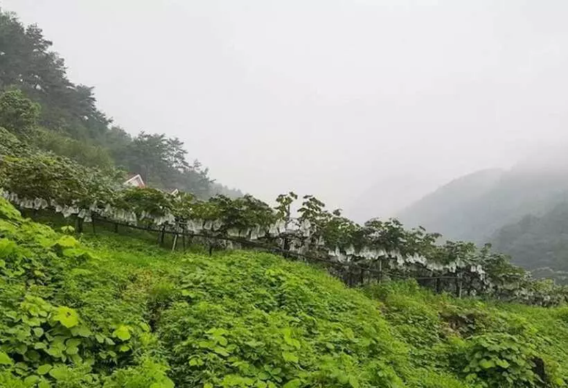 ホテル Yeongwol Donggang Castle Pension