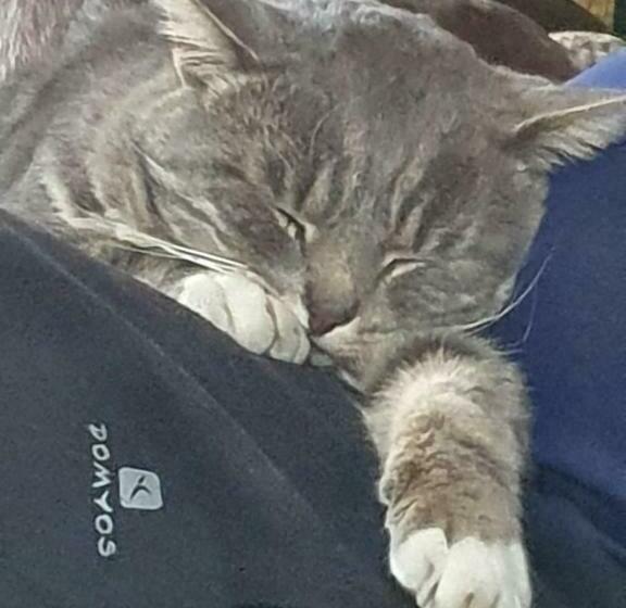 צימר Le Clos De Tournes