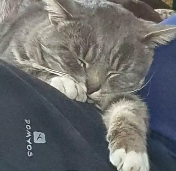 ベッドアンドブレックファースト Le Clos De Tournes