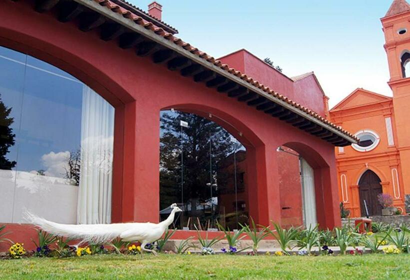 호텔 Hacienda San Martin