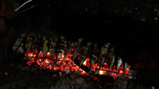 بنسيون Royal Mermaid