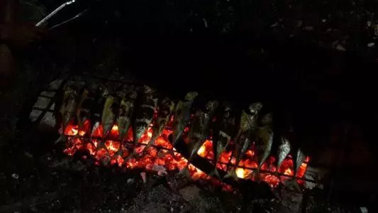 پانسیون Royal Mermaid