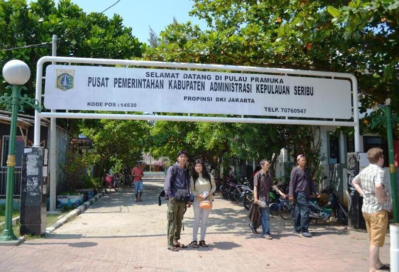 بنسيون Royal Mermaid