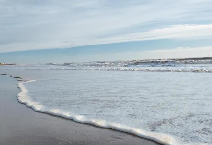 Coasters  & Apartments