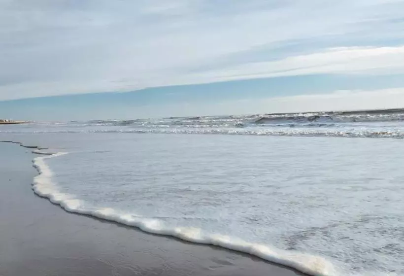 Coasters  & Apartments