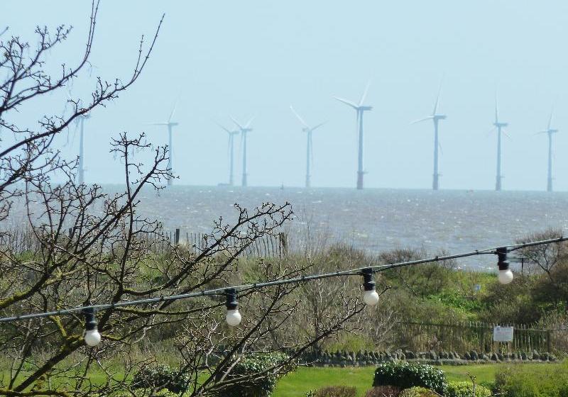 Coasters  & Apartments