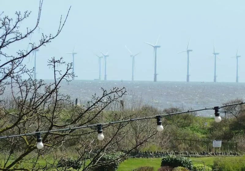 Coasters  & Apartments