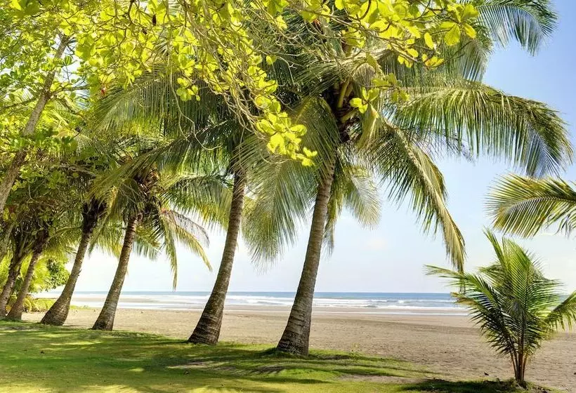 Alma Del Pacifico Hotel & Spa