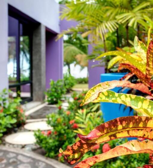 Alma Del Pacifico Hotel & Spa