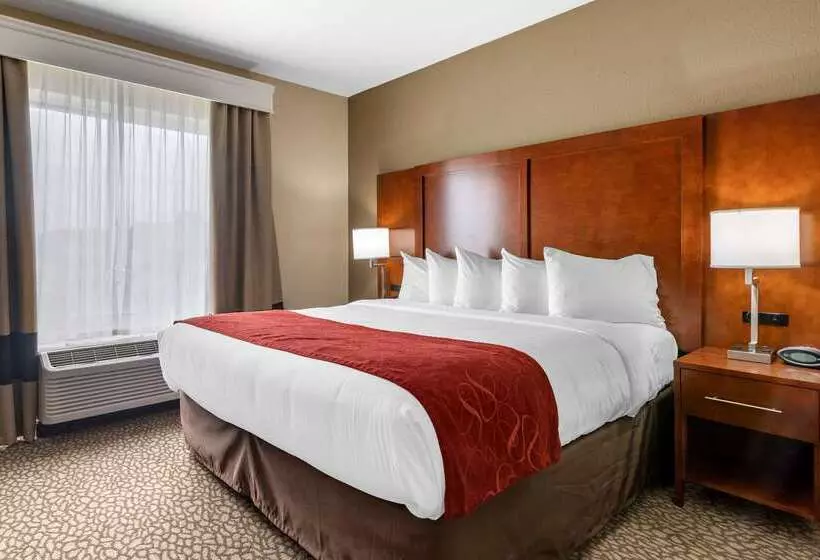 Отель Comfort Suites Florence I95