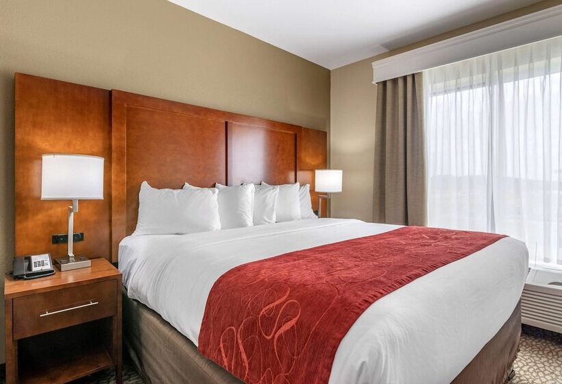 בית מלון כפרי Comfort Suites Florence I95