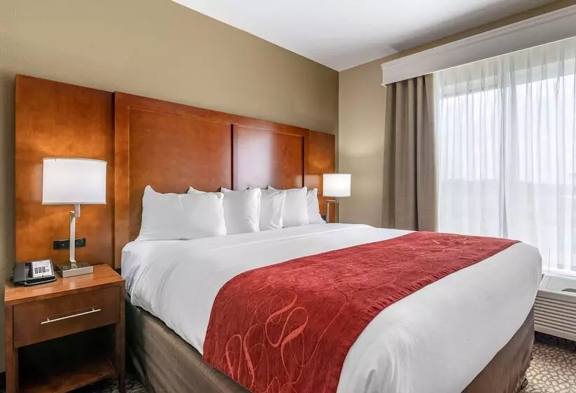 Отель Comfort Suites Florence I95