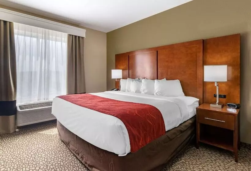 Отель Comfort Suites Florence I95