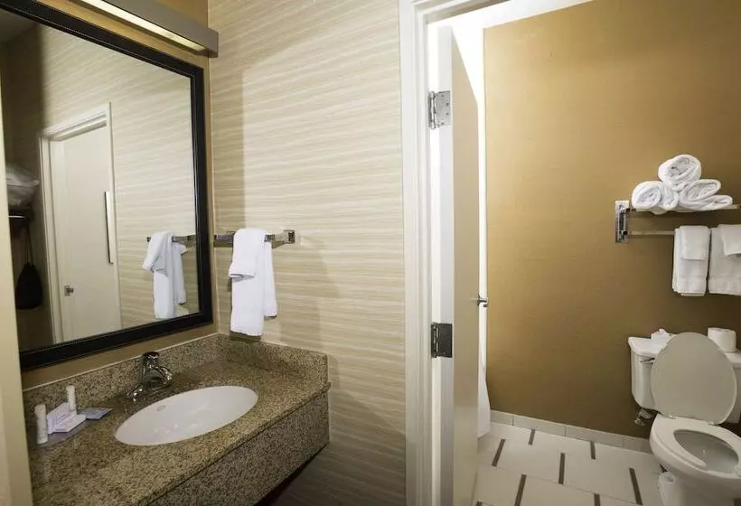 Отель Fairfield Inn And Suites By Marriott Nashville Smyrna