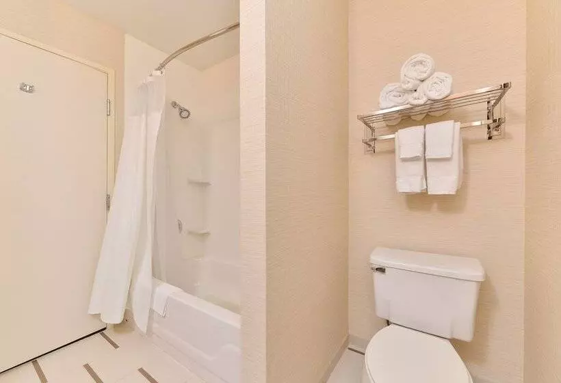 Отель Fairfield Inn And Suites By Marriott Nashville Smyrna