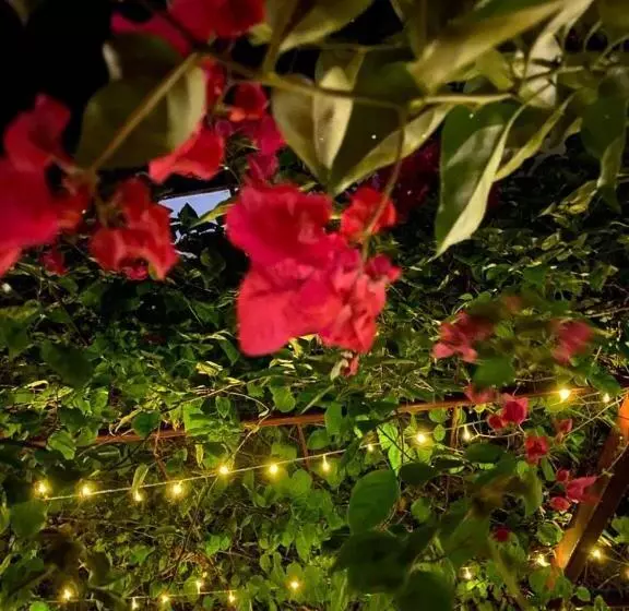 Hotel Indiana Beach Apartments