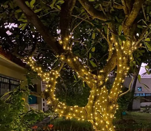 Hotel Indiana Beach Apartments