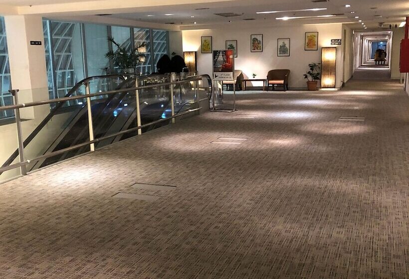 בית מלון כפרי Miracle Transit