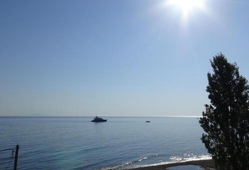 ホテル Poros House