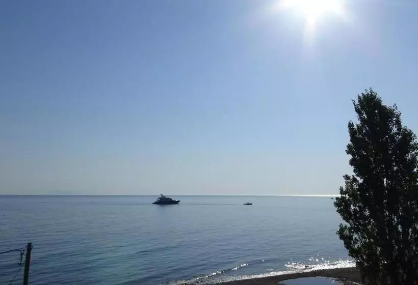 ホテル Poros House